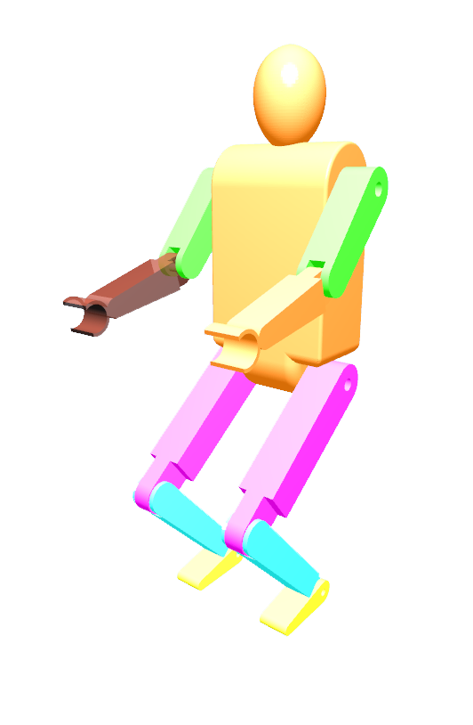 RSim