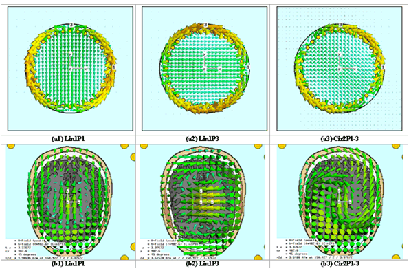 図5：ポスト処理による結果の統合：<br />	1ポートリニア励起Lin1P1とLin1P3を1Wの円形磁界と統合